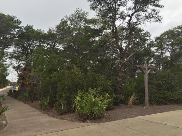 Lot 1-6 West Cedar Bend Road Santa Rosa Beach, FL 32459 - Photo 1 of 5 a view of a garden