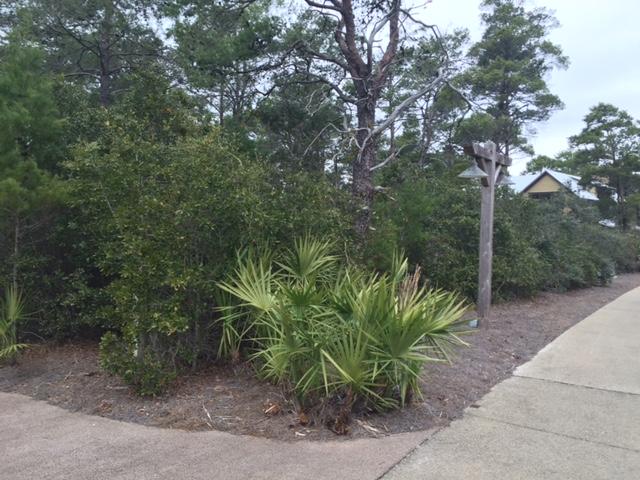 Lot 1-6 West Cedar Bend Road Santa Rosa Beach, FL 32459 - Photo 2 of 5 a view of a yard with plants and trees