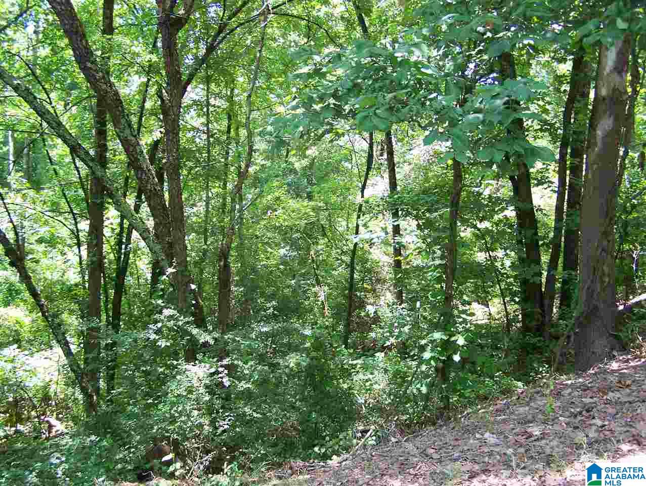 0 Sunset Drive, Unit 3 Weaver, AL 36277 - Photo 1 of 1