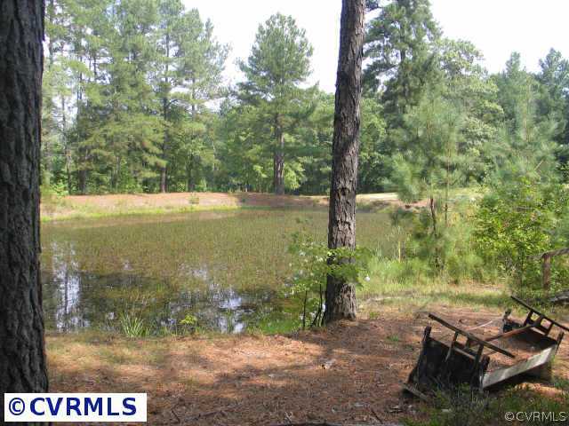 11250 Lawyers Road Prince George, VA 23875 - Photo 2 of 2 Other