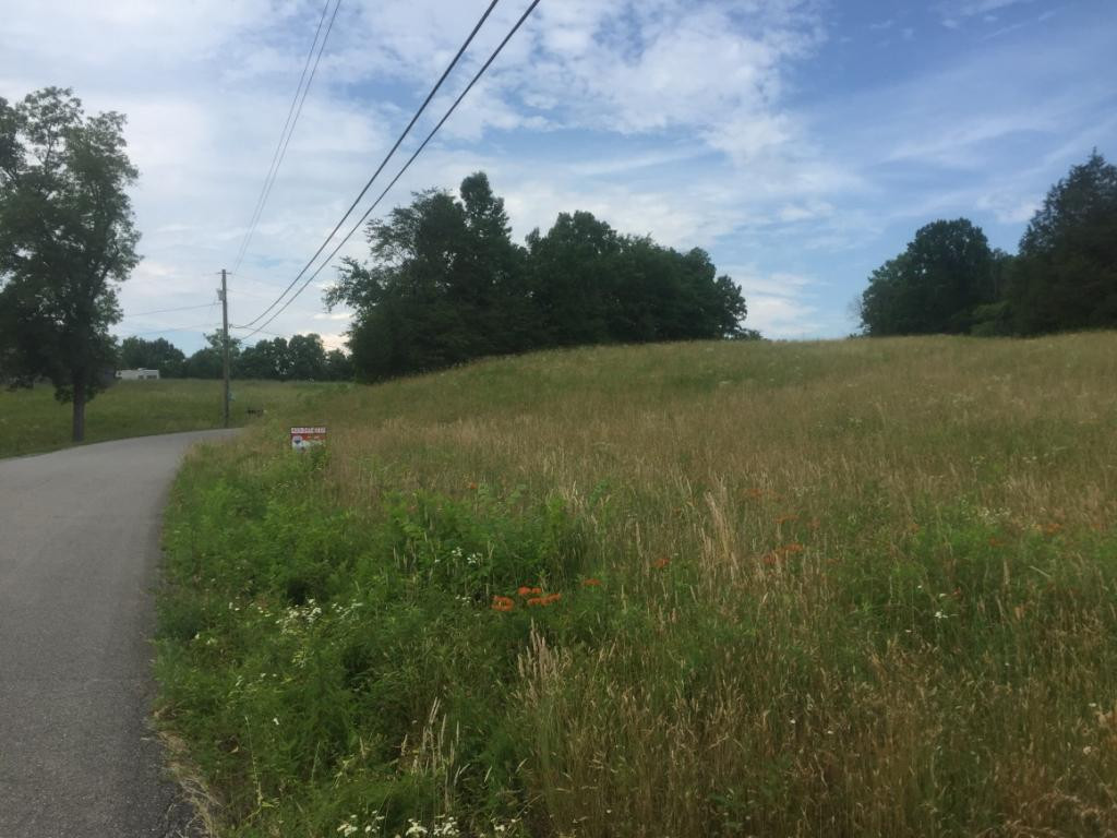 0 Rader Sidetrack Road Mosheim, TN 37818 - Photo 2 of 15 Photo 2