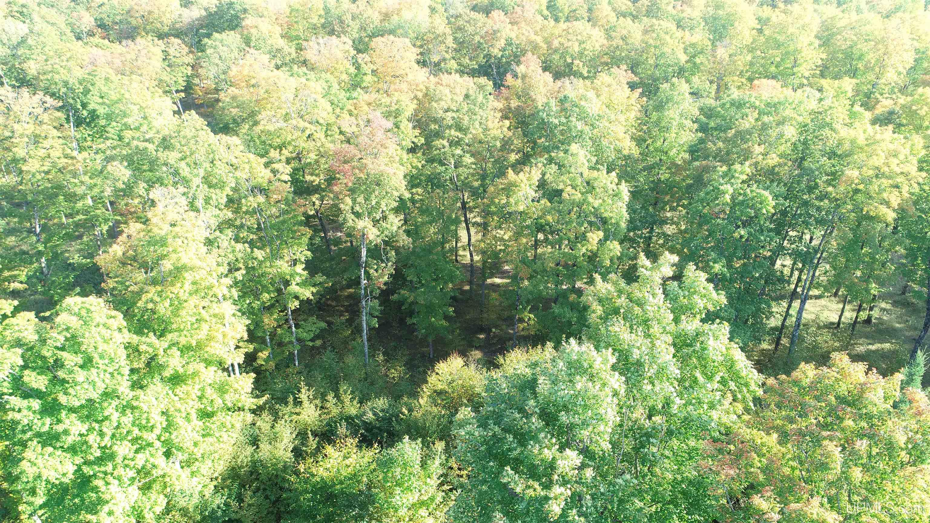 18856 Vega Road Hermansville, MI 49847 - Photo 13 of 23