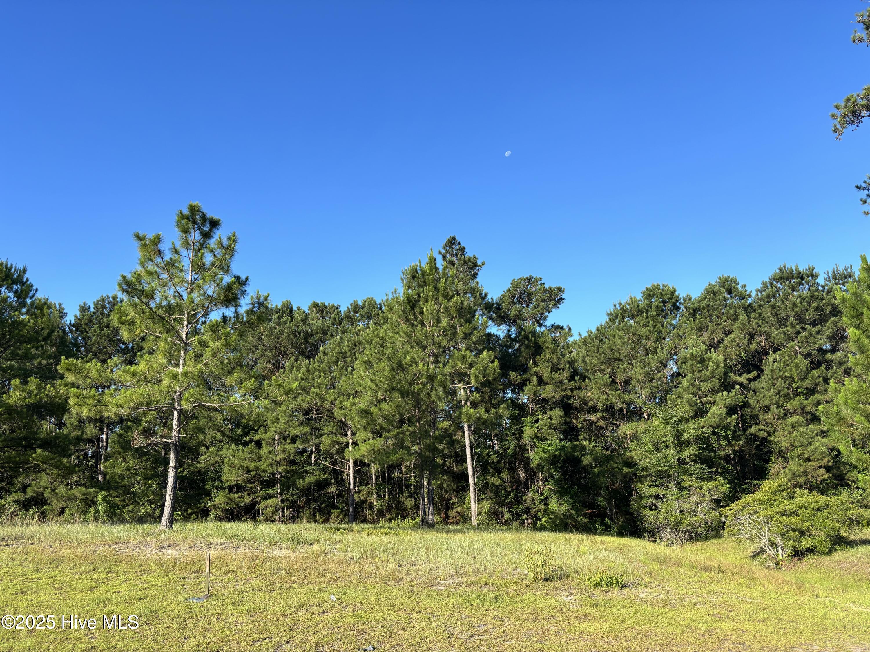 959 Ashburton Road Southeast Bolivia, NC 28422 - Photo 2 of 23 IMG_0714