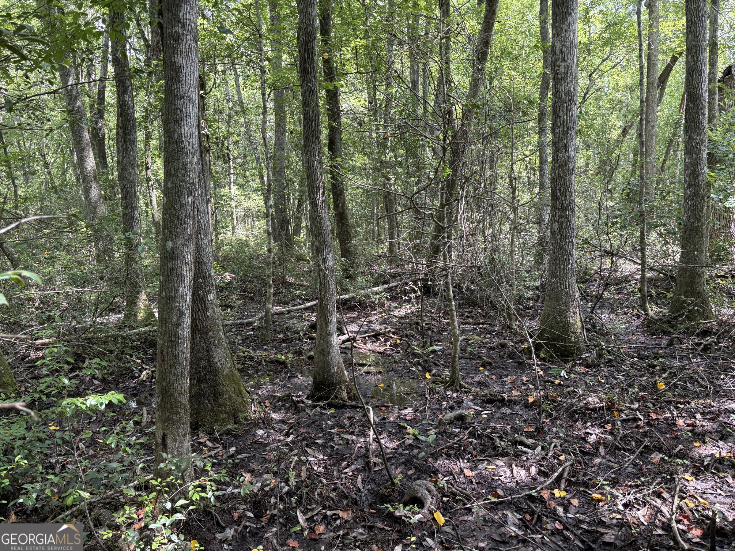 0 Wriley Road McIntyre, GA 31054 - Photo 25 of 29