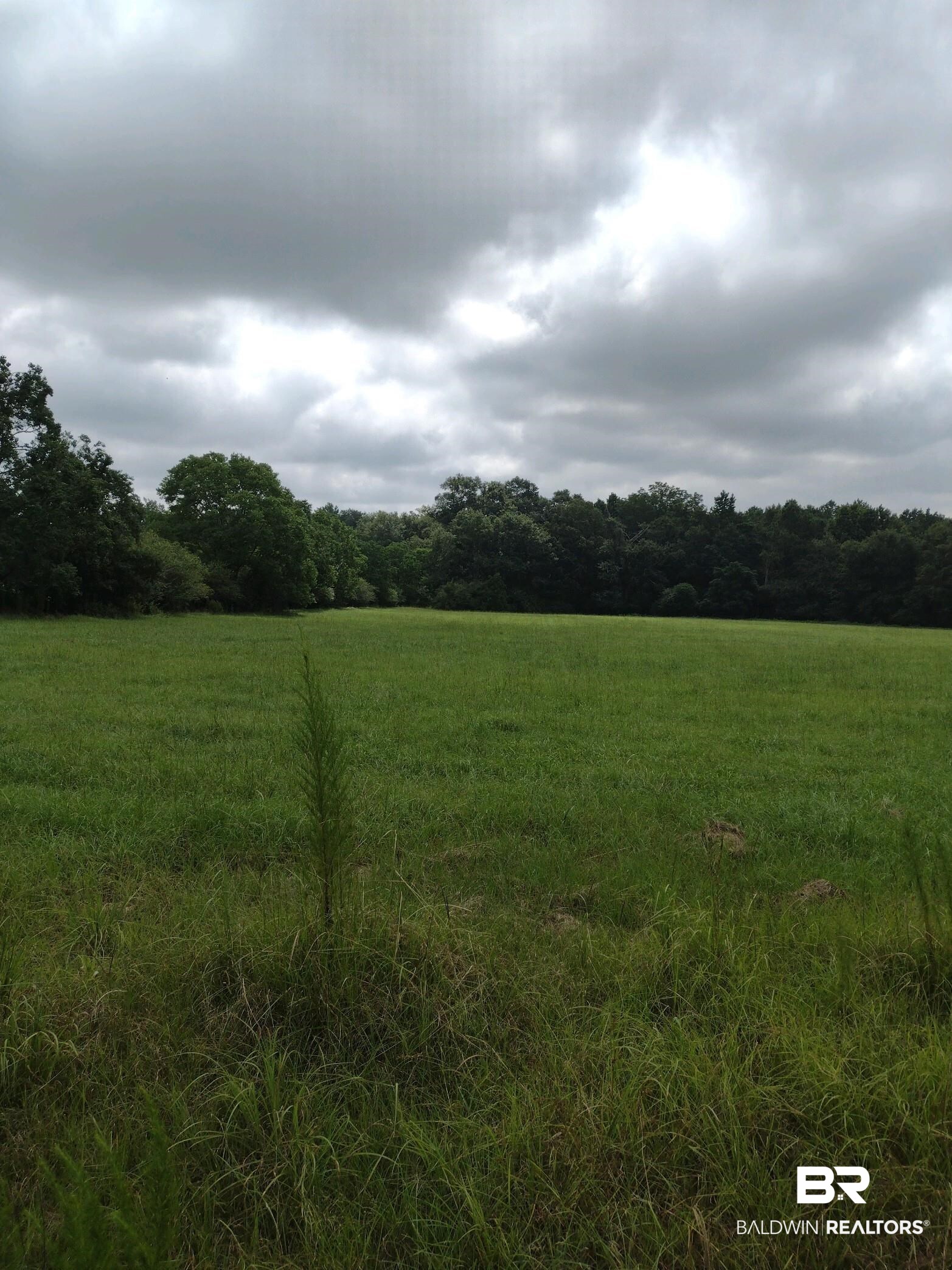 22200 Gap Weekley Road Perdido, AL 36562 - Photo 3 of 5