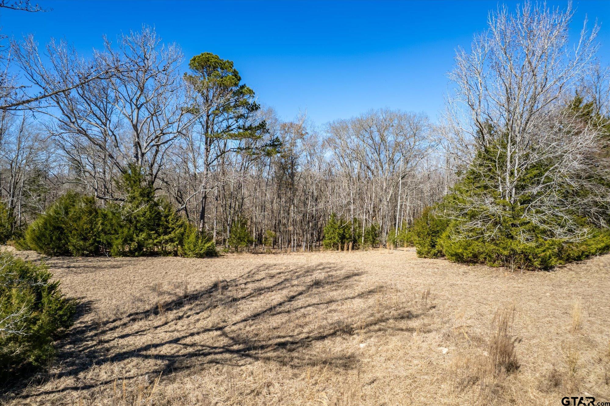 12095 Fm 317 Murchison, TX 75778 - Photo 25 of 34