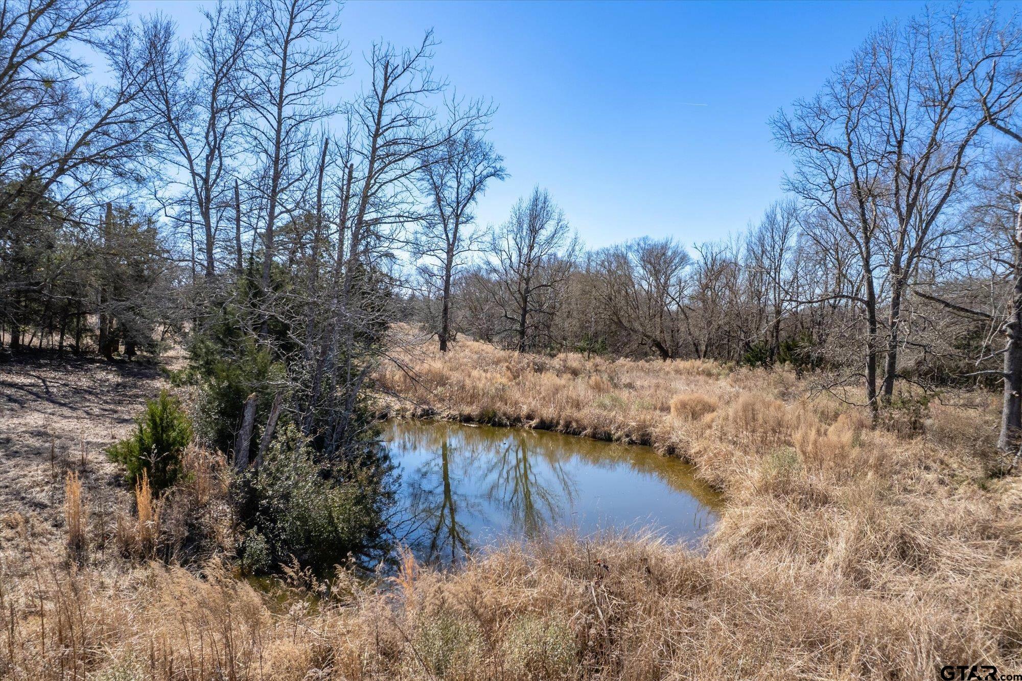 12095 Fm 317 Murchison, TX 75778 - Photo 26 of 34