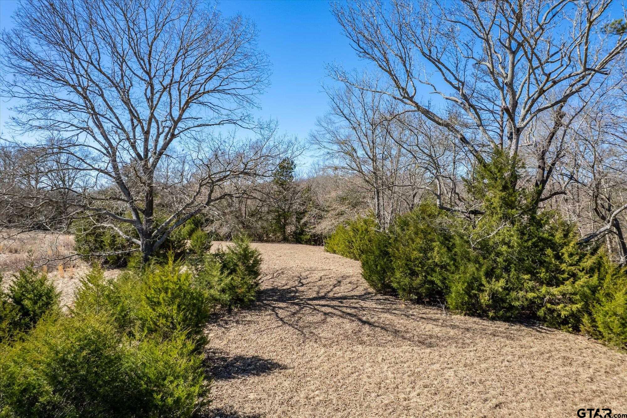 12095 Fm 317 Murchison, TX 75778 - Photo 30 of 34 a wooden bench with view of trees
