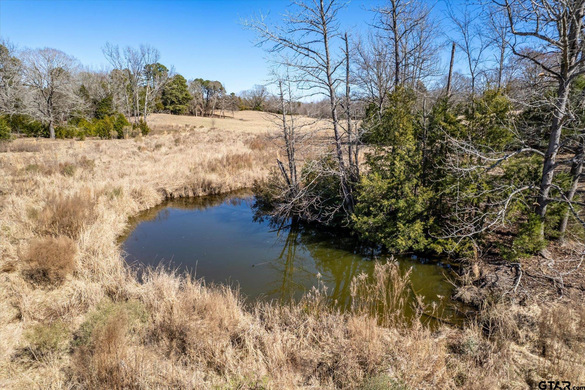 12095 Fm 317 Murchison, TX 75778 - Photo 31 of 34