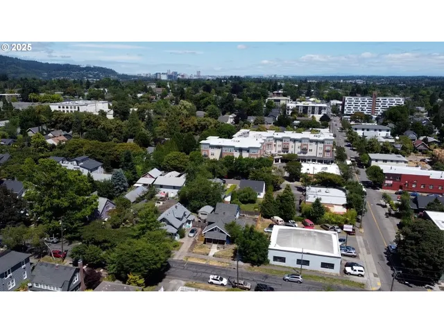 a view of a green field with lots of bushes