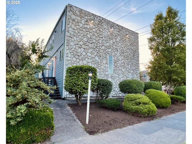 a view of a garden with plants and a bench