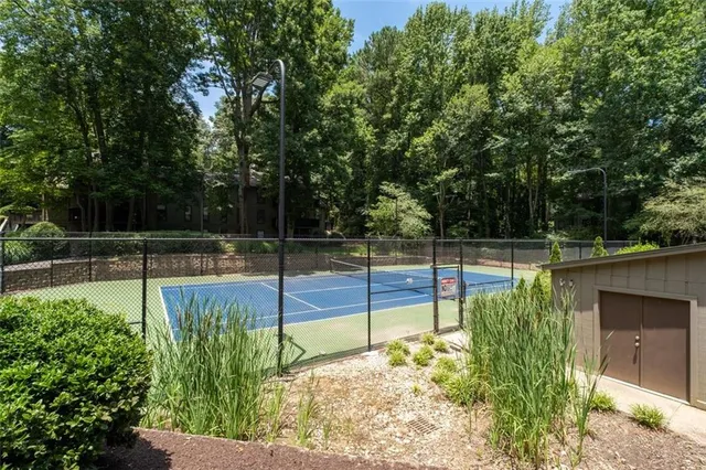 a view of a backyard