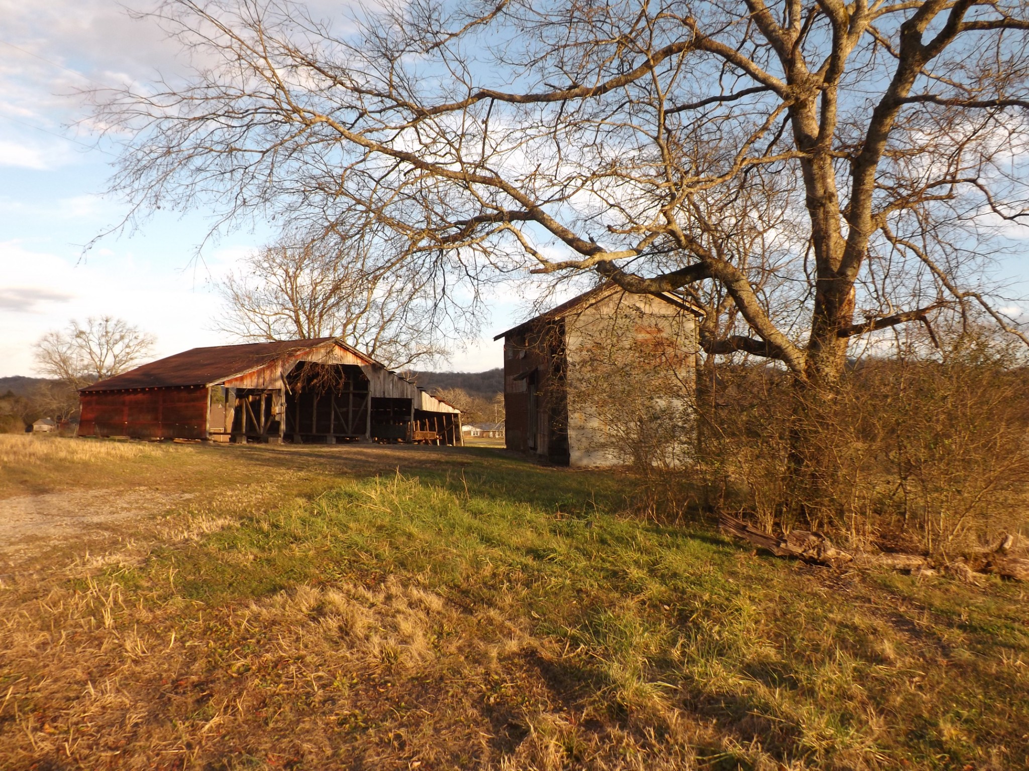 2591 Briar Patch Road Prospect, TN 38477 - Photo 39 of 48 a front view of house with yard and trees