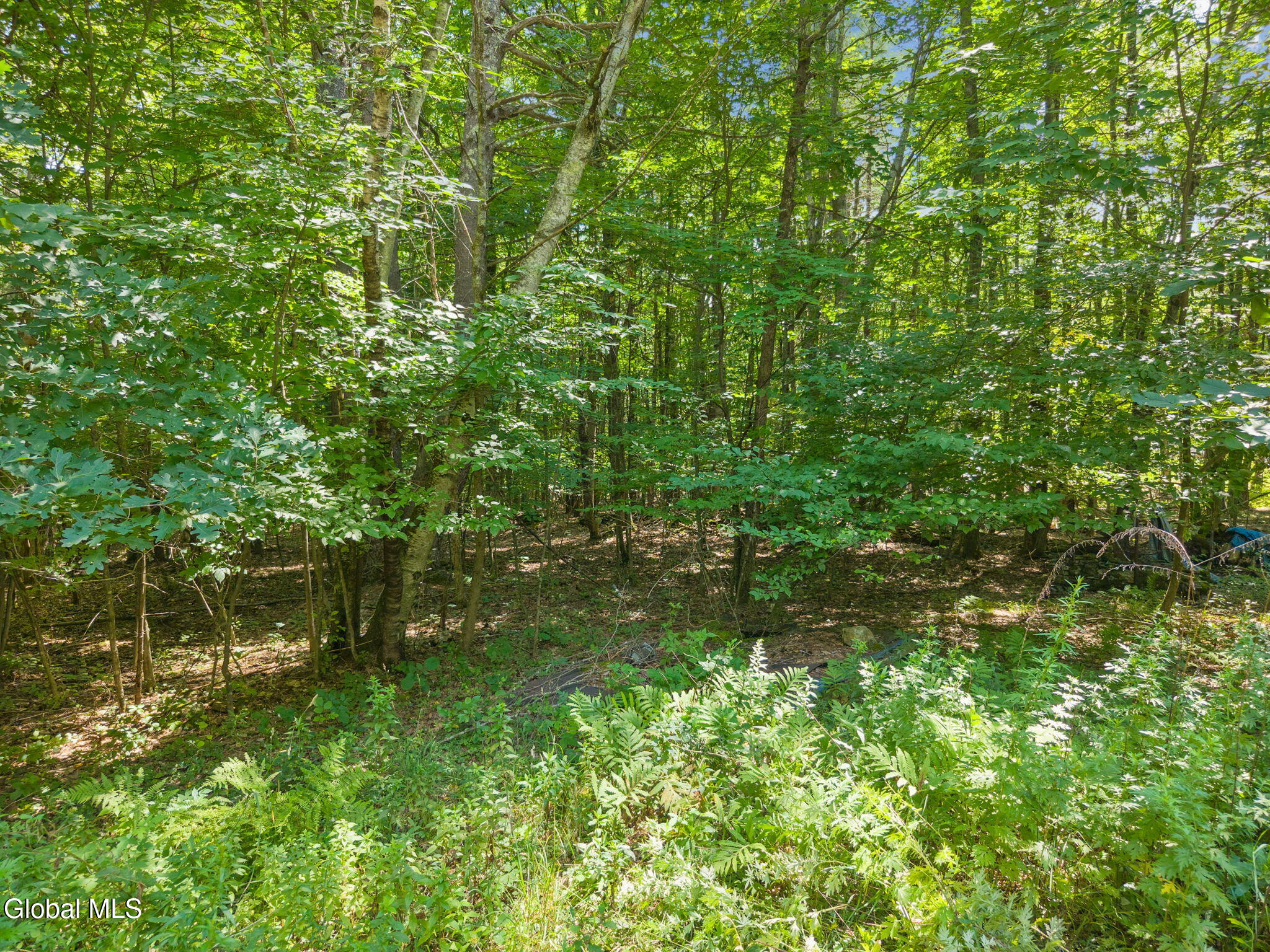 404 Posson Hill Road Middleburgh, NY 12122 - Photo 5 of 22 19-404PossonHillRd_19
