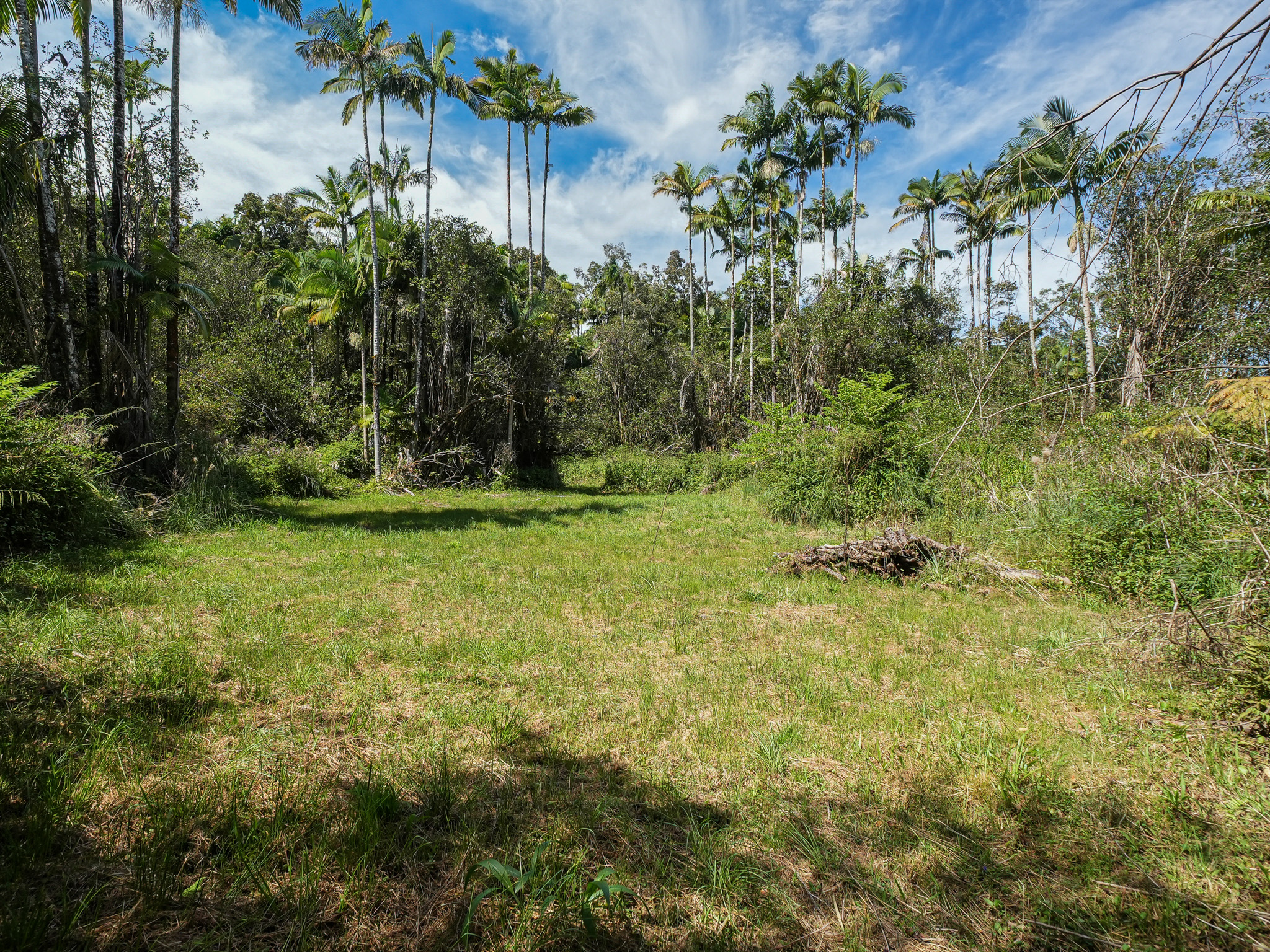 2 Volcano Road Mountain View, HI 96771 - Photo 4 of 18