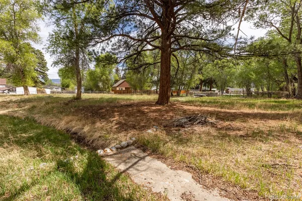 a view of a yard with trees