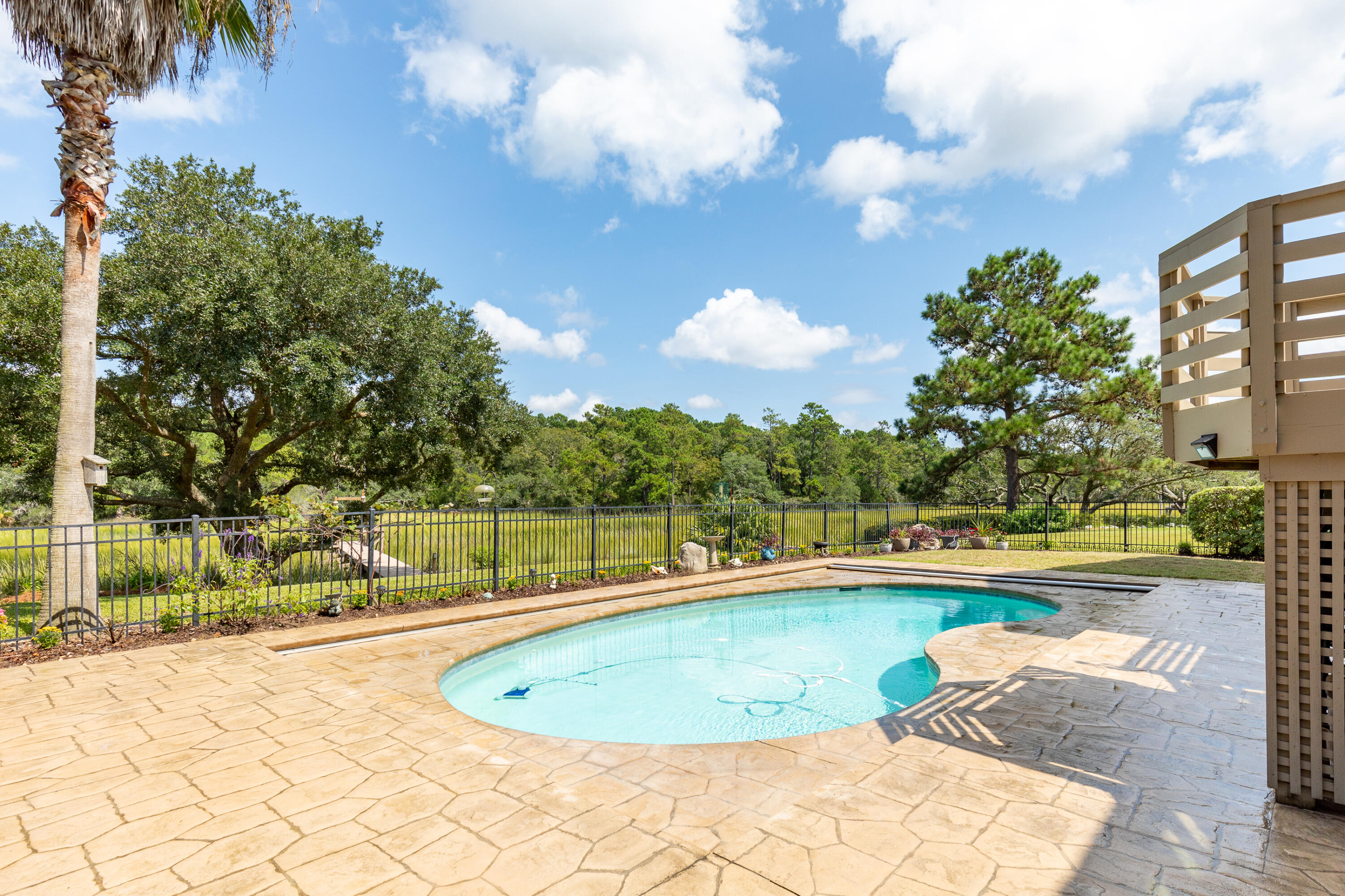 313 Jamesbury Road Charleston, SC 29492 - Photo 28 of 46 Pool
