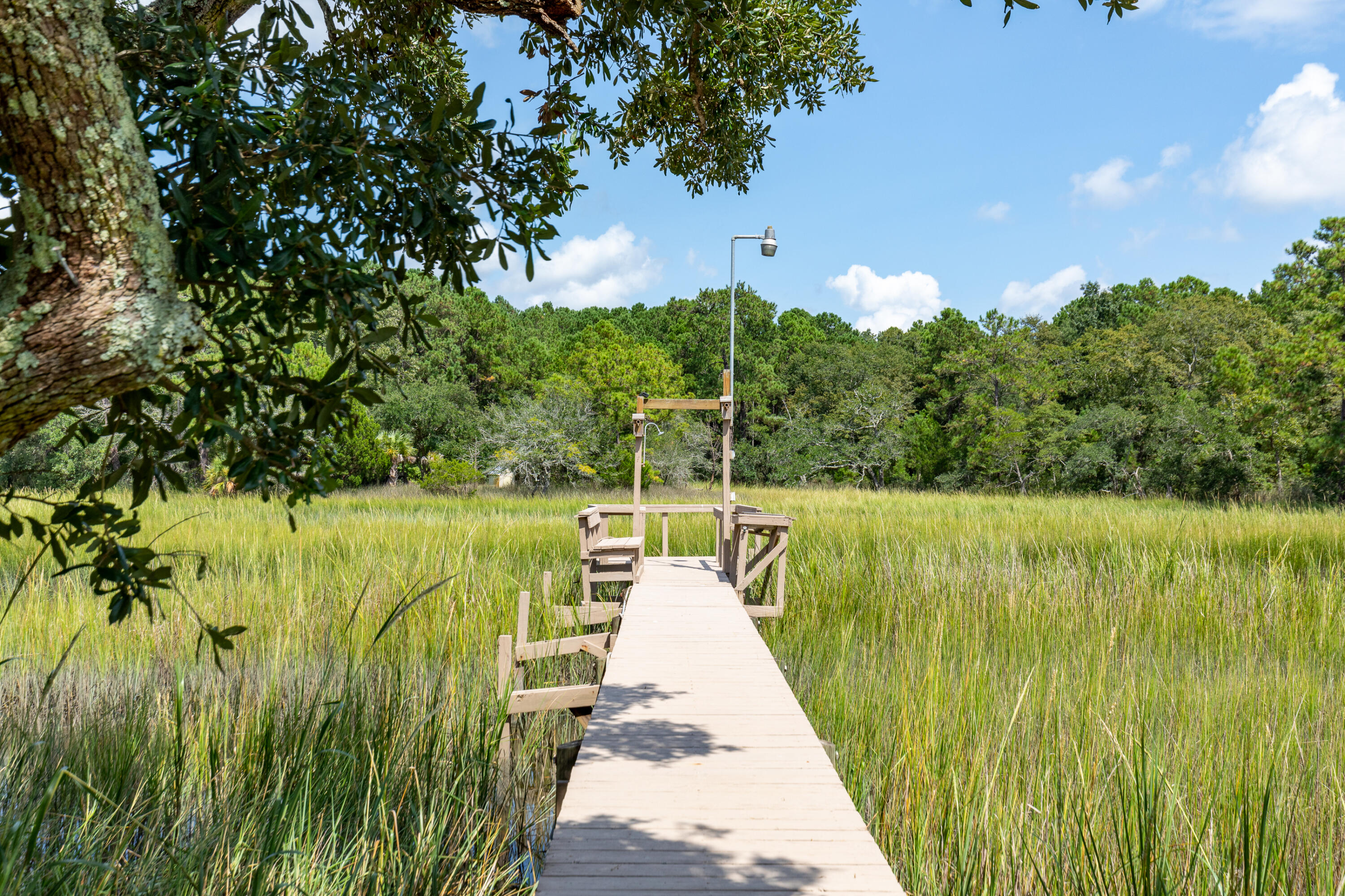 313 Jamesbury Road Charleston, SC 29492 - Photo 34 of 46 Private dock