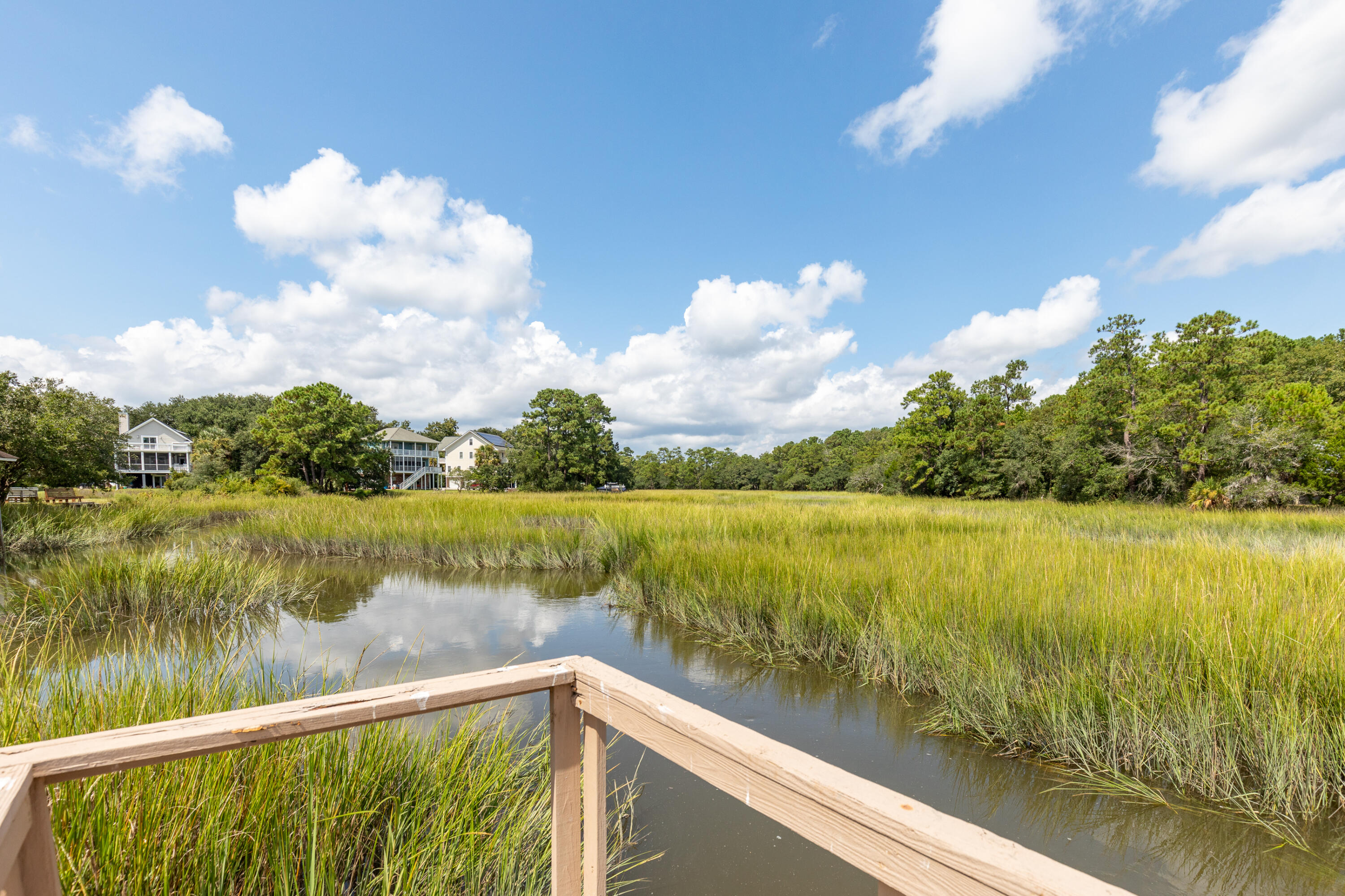 313 Jamesbury Road Charleston, SC 29492 - Photo 35 of 46 Creek views