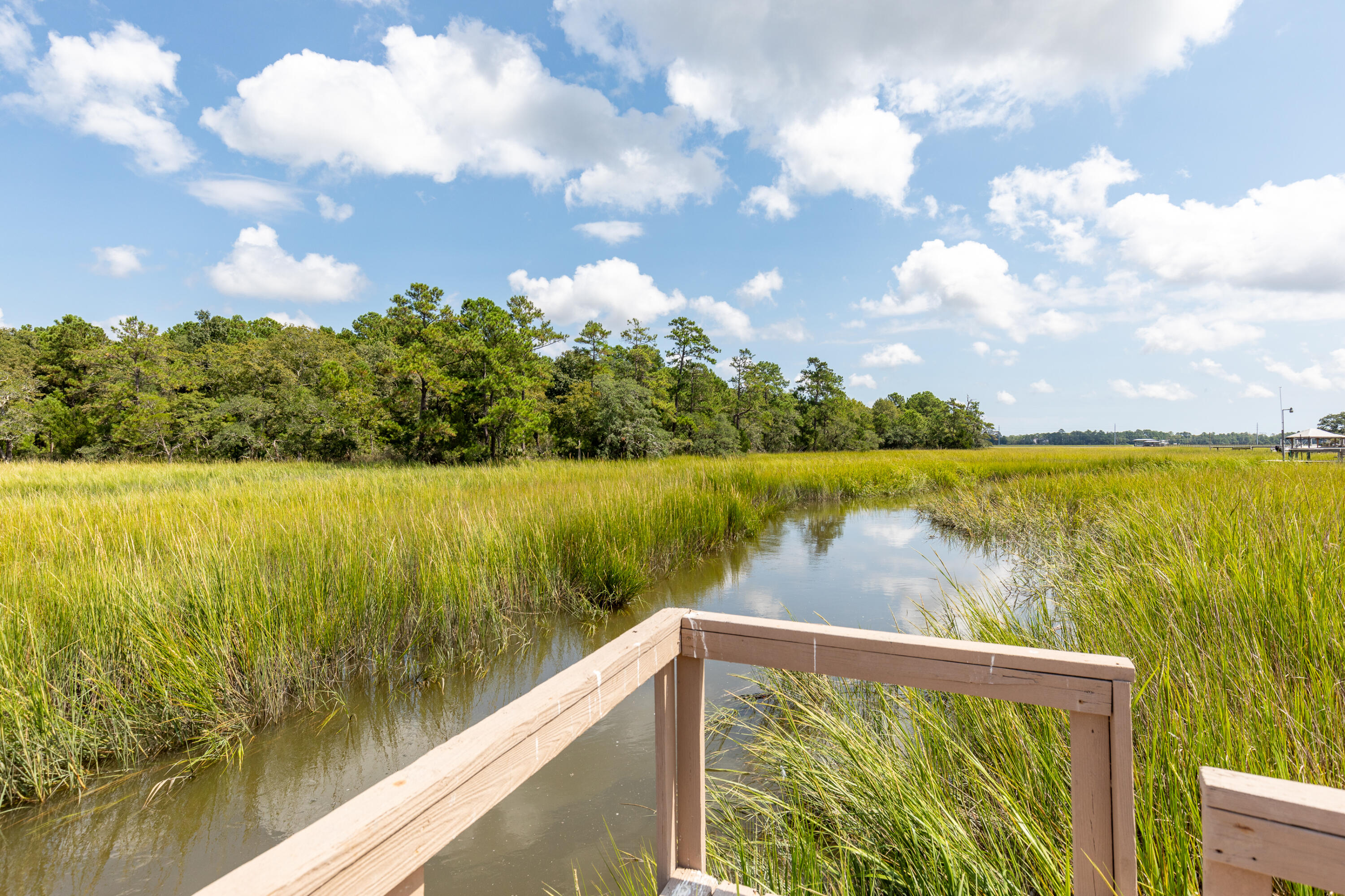313 Jamesbury Road Charleston, SC 29492 - Photo 36 of 46 Creek leading to the Wando River