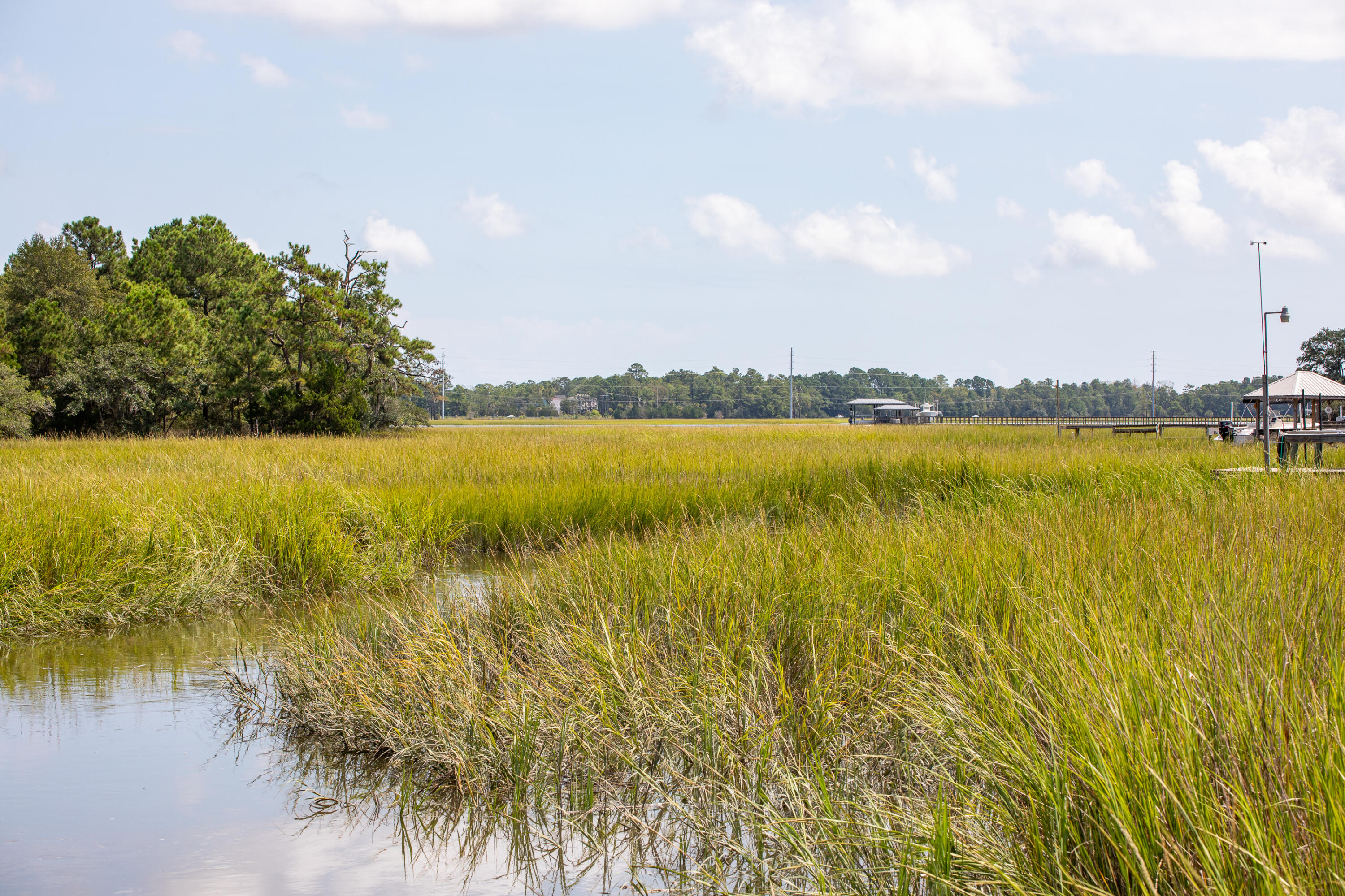 313 Jamesbury Road Charleston, SC 29492 - Photo 38 of 46 Creek views to the Wando River