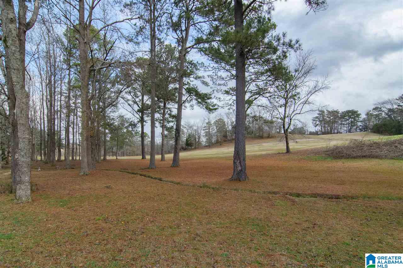 116 Fairview Lane Montevallo, AL 35115 - Photo 46 of 47