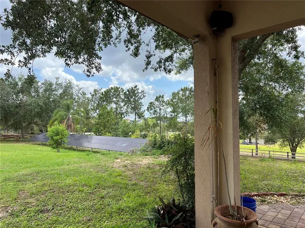 a view of a park and trees in the background