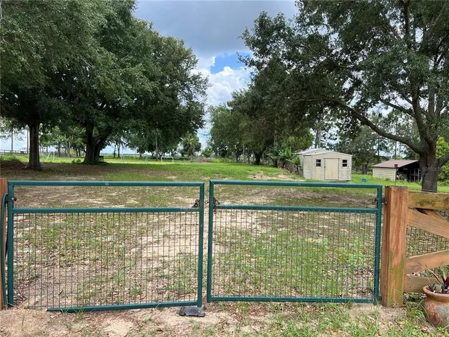 a view of a field with a tree
