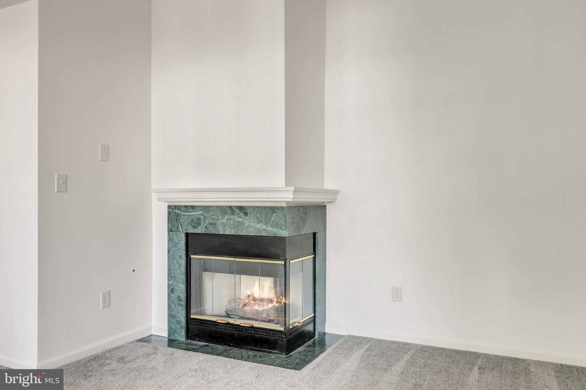 2444 Blue Spring Court, Unit 303 Odenton, MD 21113 - Photo 5 of 33 a living room with a fireplace