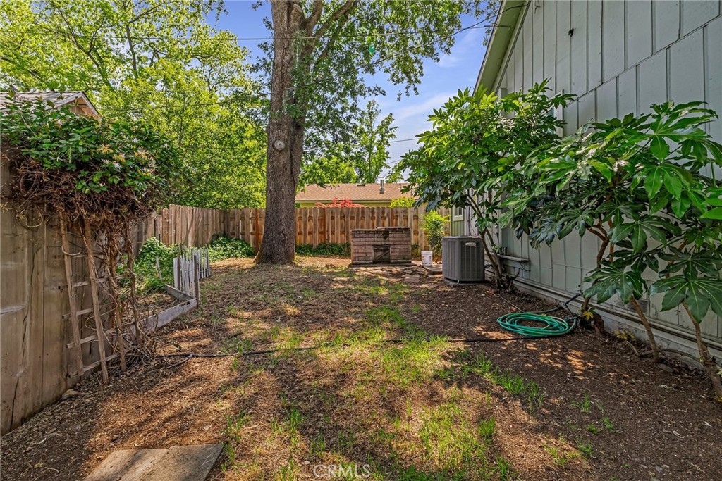 1617 Hemlock Street Chico, CA 95928 - Photo 46 of 60 a view of a yard with plants and a large tree