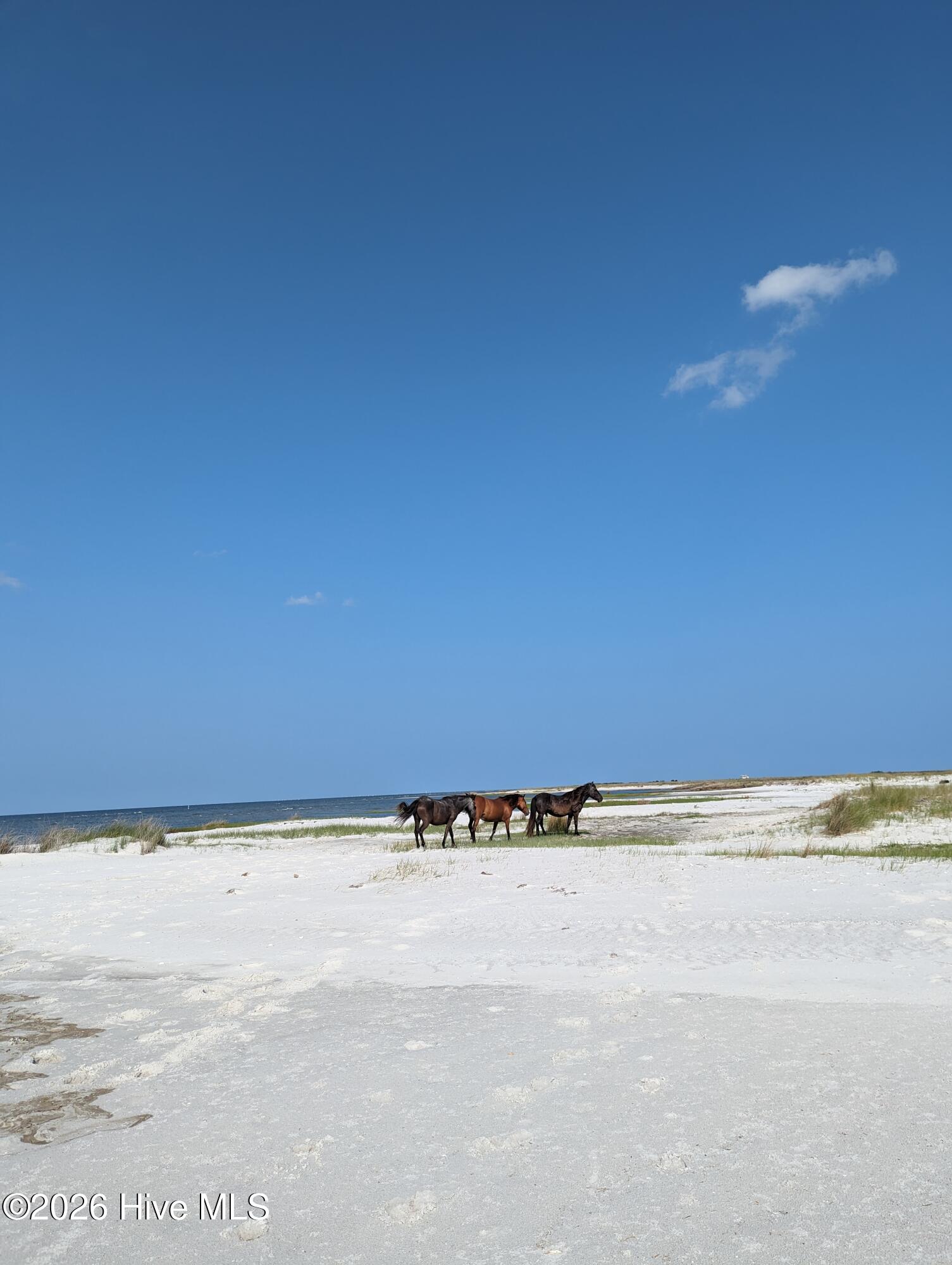 116 Sandy Landing Road Cedar Island, NC 28520 - Photo 69 of 72