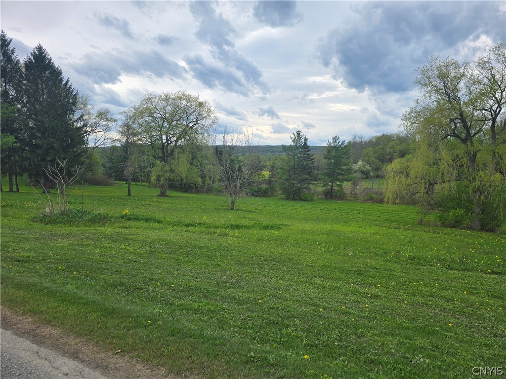 Simmons Road Vernon Center, NY 13477 - Photo 4 of 6
