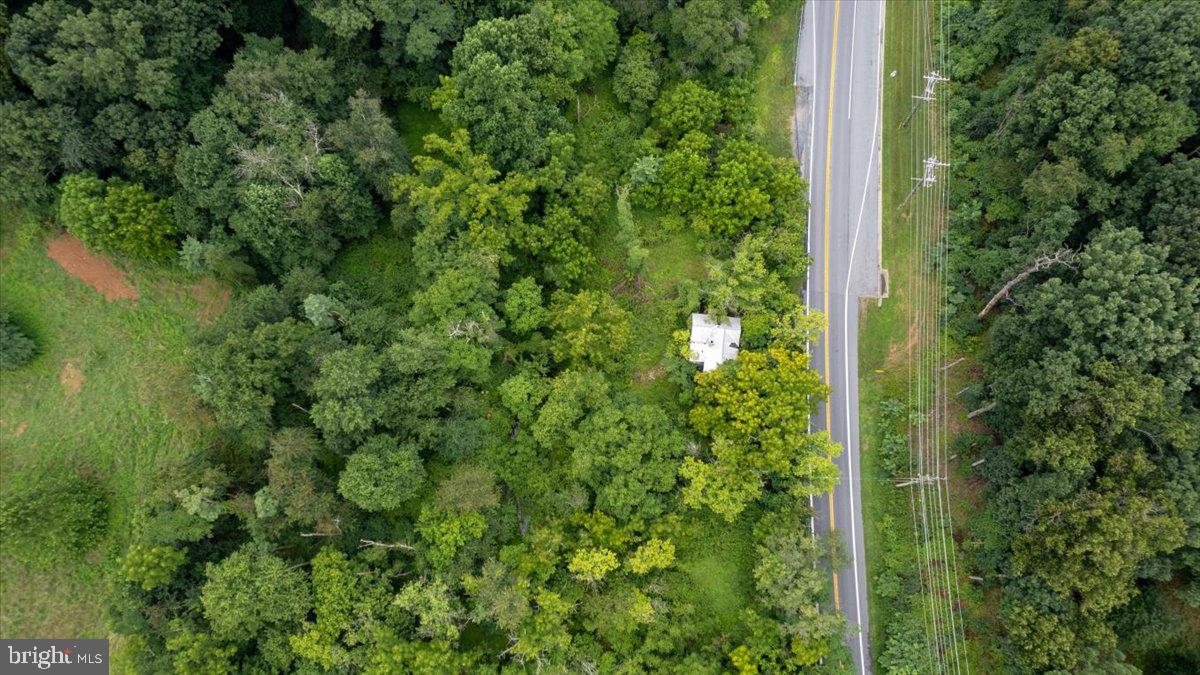 14459 Frederick Road Cooksville, MD 21723 - Photo 15 of 29 a view of a yard with plants