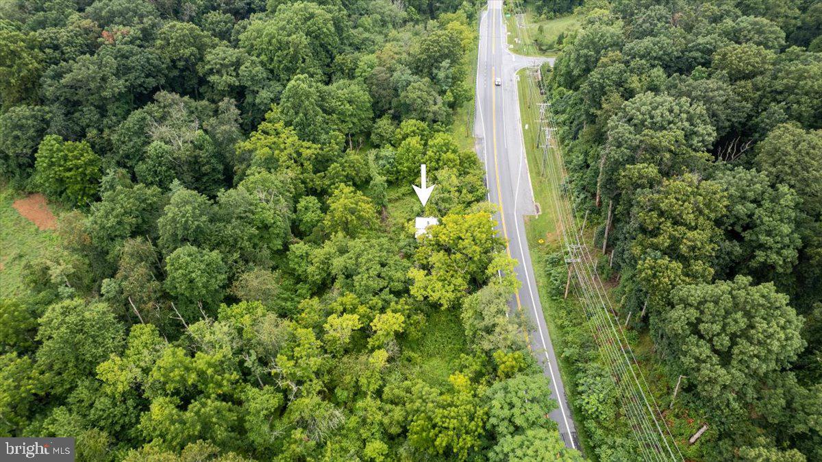 14459 Frederick Road Cooksville, MD 21723 - Photo 4 of 29 an aerial view of residential house with space and trees all around