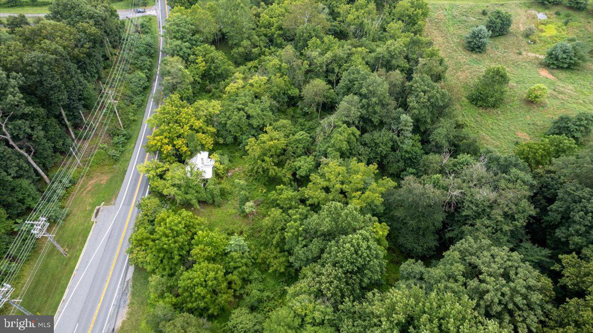 14459 Frederick Road Cooksville, MD 21723 - Photo 8 of 29 a view of a lush green forest with large trees