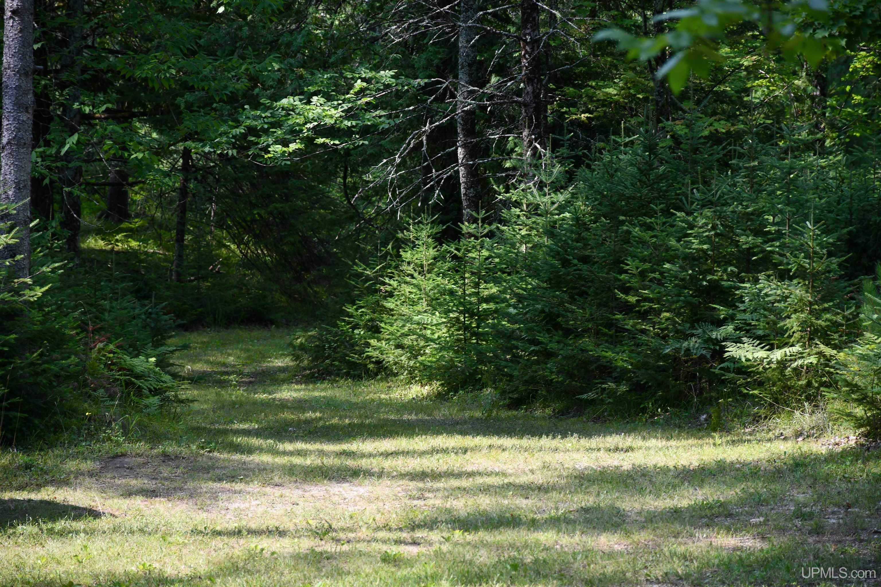 N11370 Cr 577 Road Daggett, MI 49821 - Photo 15 of 38