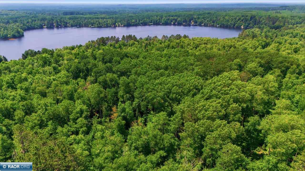 Tbd North Birch Ridge Road Britt, MN 55710 - Photo 8 of 23