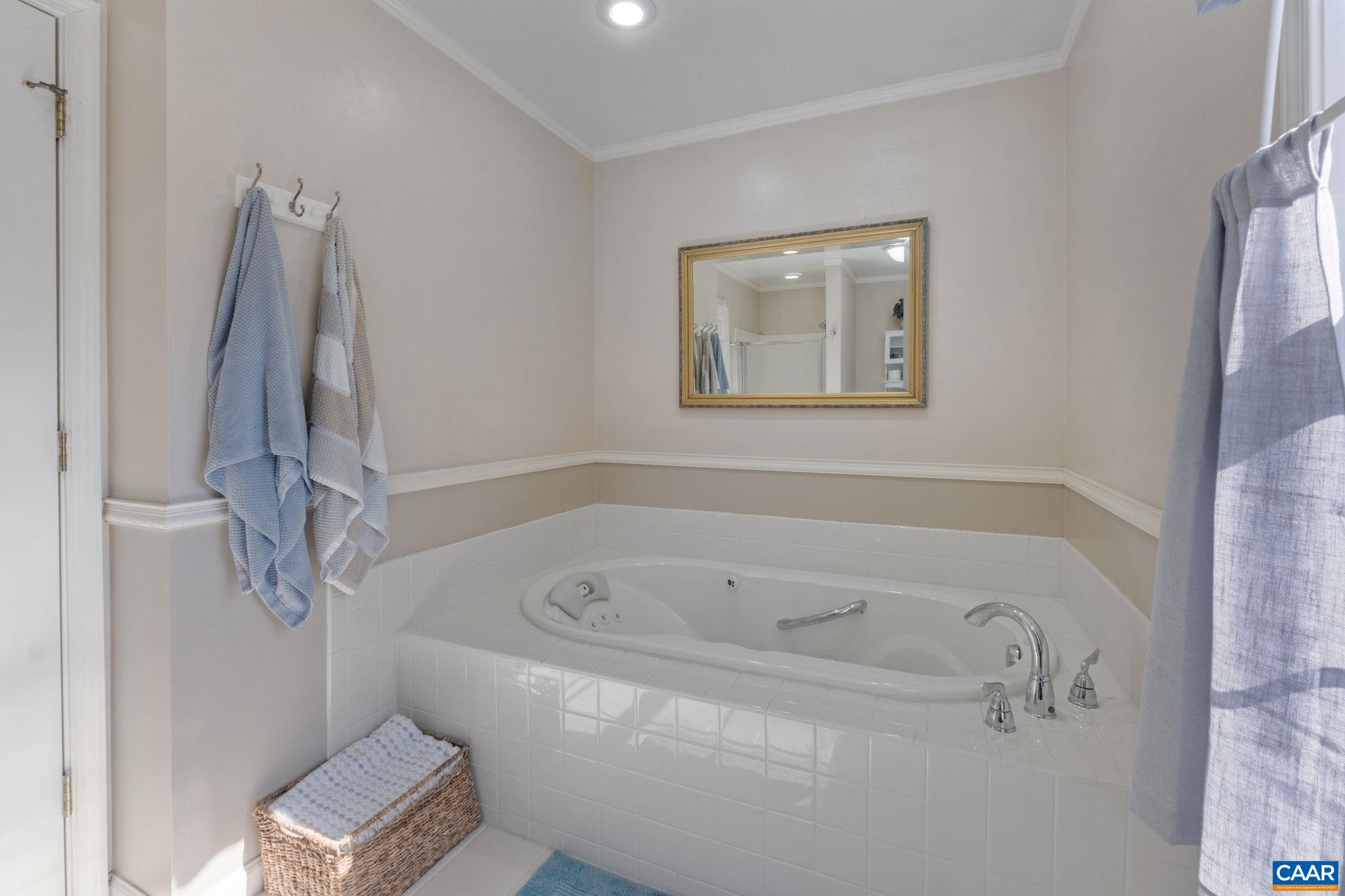 70 Riverside Drive Palmyra, VA 22963 - Photo 19 of 31 Jetted Tub