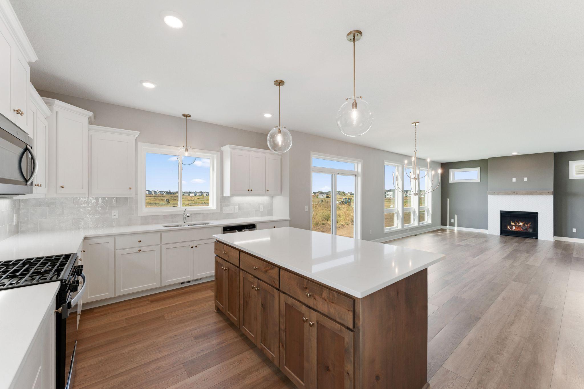 15035 Ardmullivan Lane Rosemount, MN 55068 - Photo 3 of 14