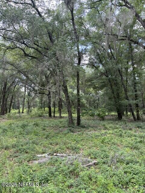 607 Cousintown Road Interlachen, FL 32148 - Photo 6 of 8 c70fcea2-2e9b-494e-97e9-b037383dc7e2