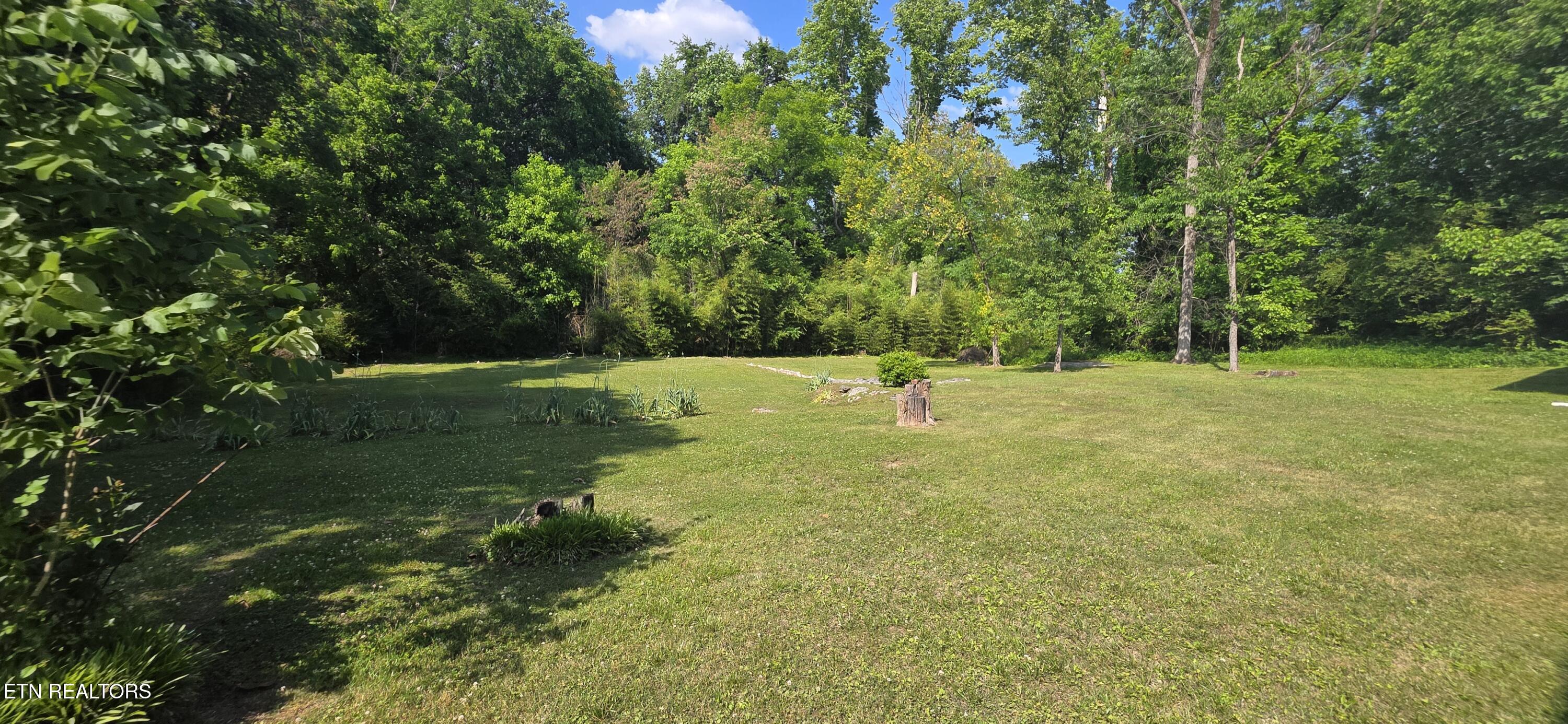 258 East Drive Oak Ridge, TN 37830 - Photo 41 of 42 1000007750