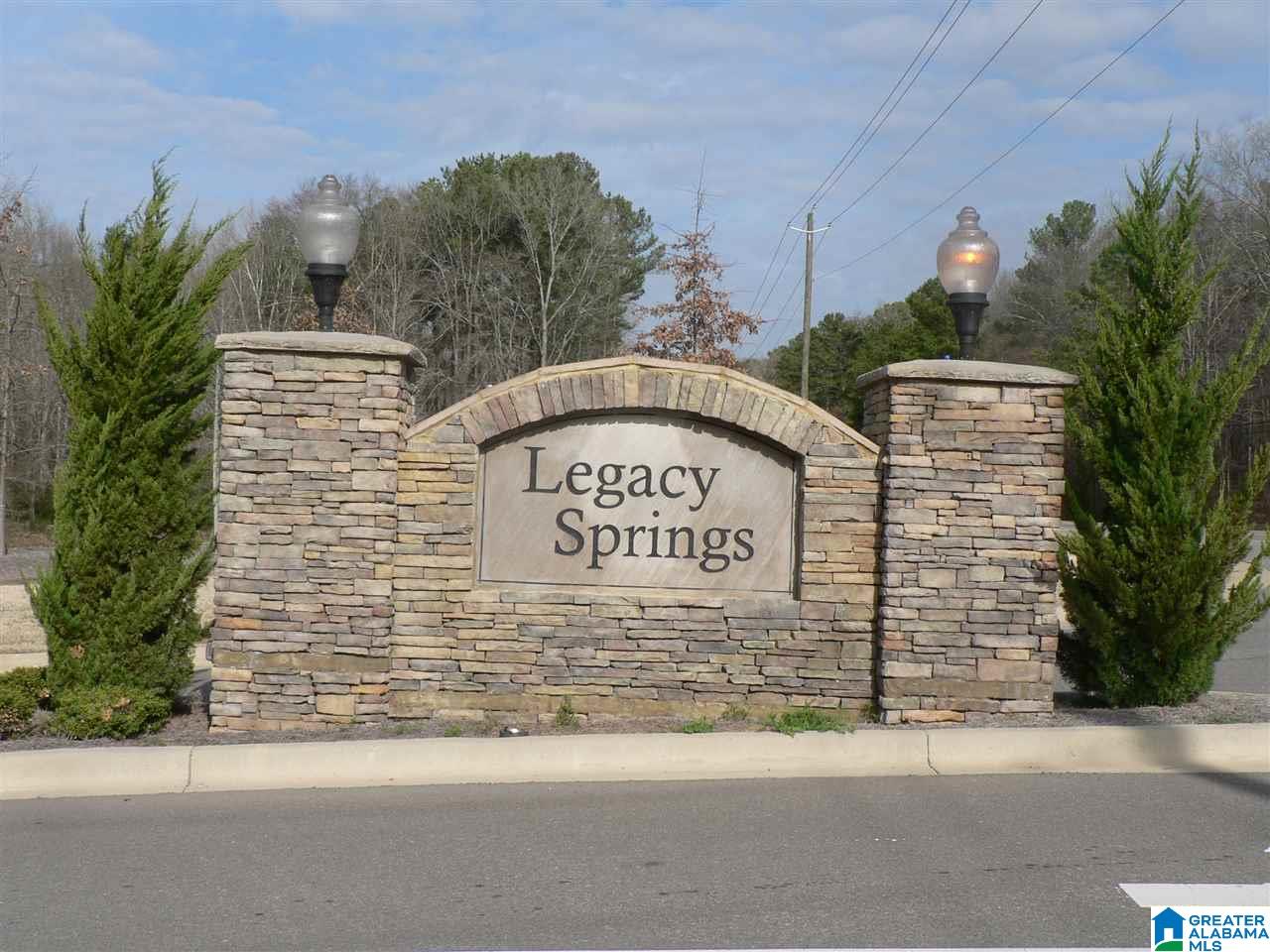40 Blueberry Cove Springville, AL 35146 - Photo 9 of 19