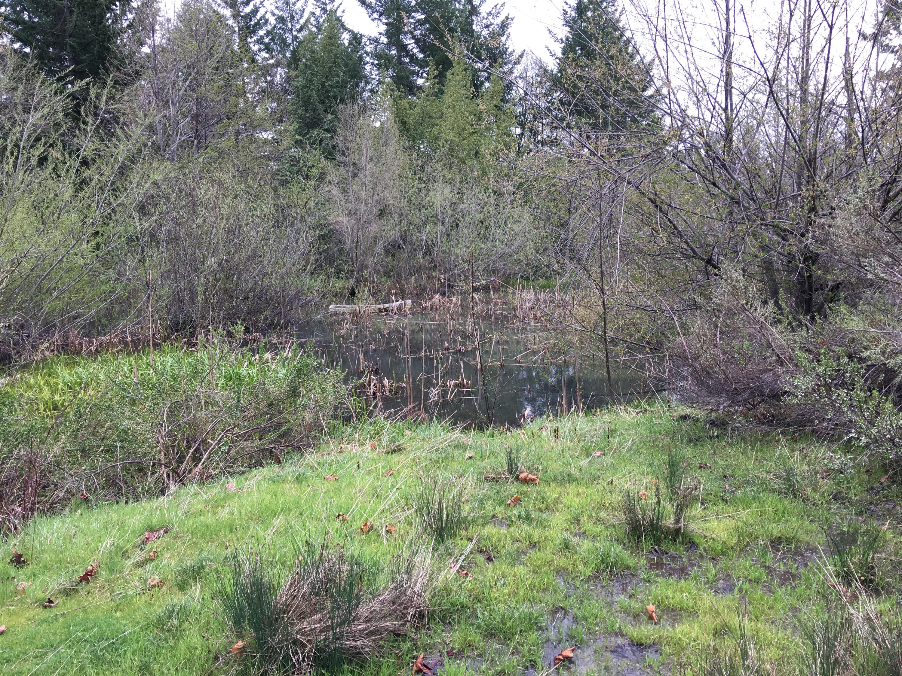 200 Acres Humbug Creek Road Arcata, CA 95521 - Photo 7 of 12