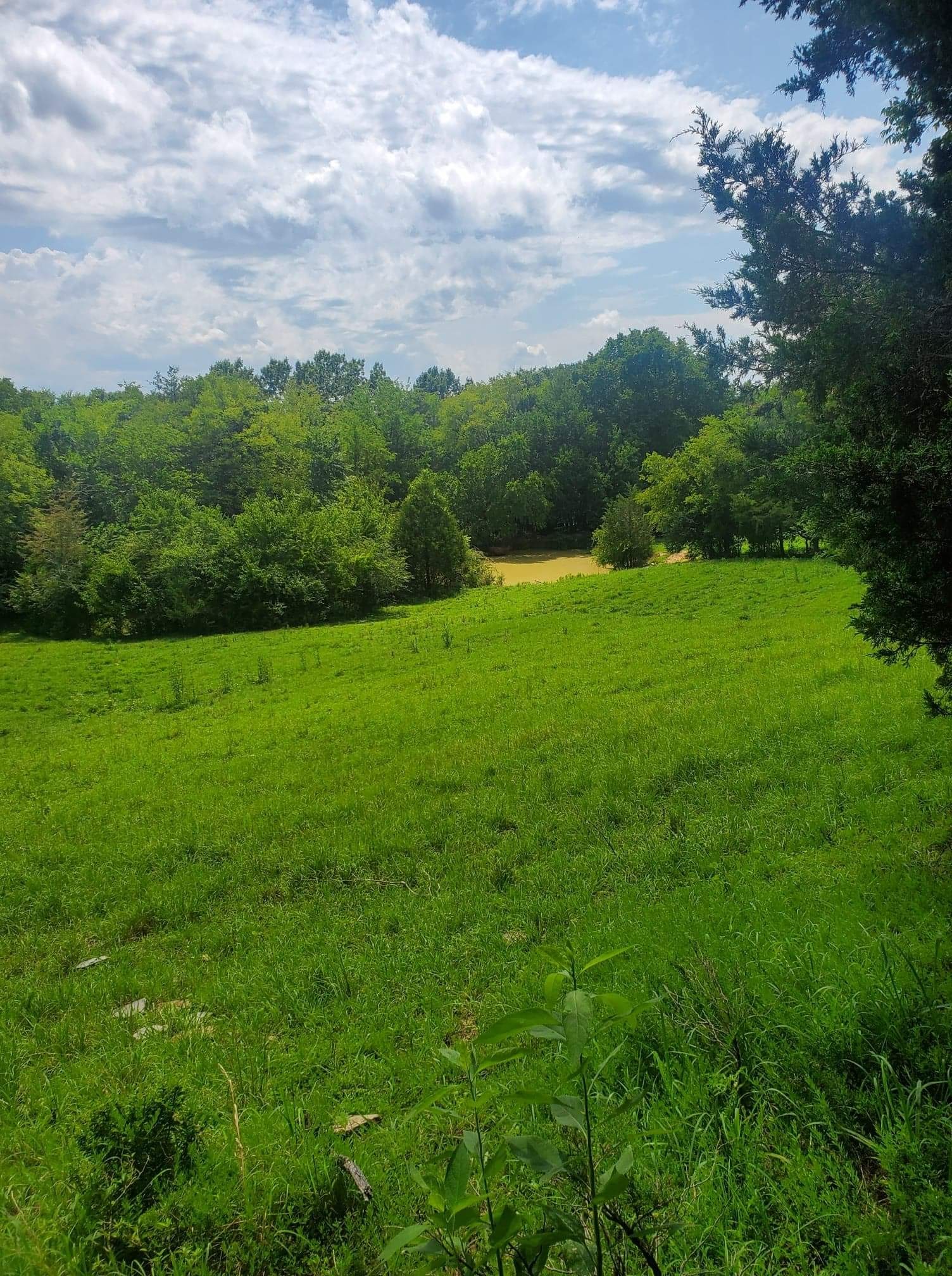 0 Burnley Road Hartsville, TN 37074 - Photo 1 of 7 Gallery Image 1