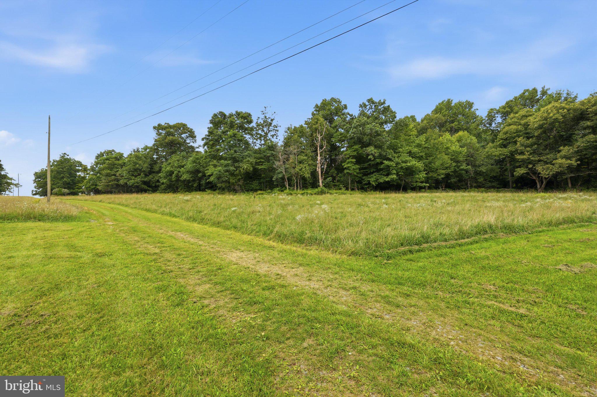 14417 Ridenour Road Smithsburg, MD 21783 - Photo 33 of 41 Land