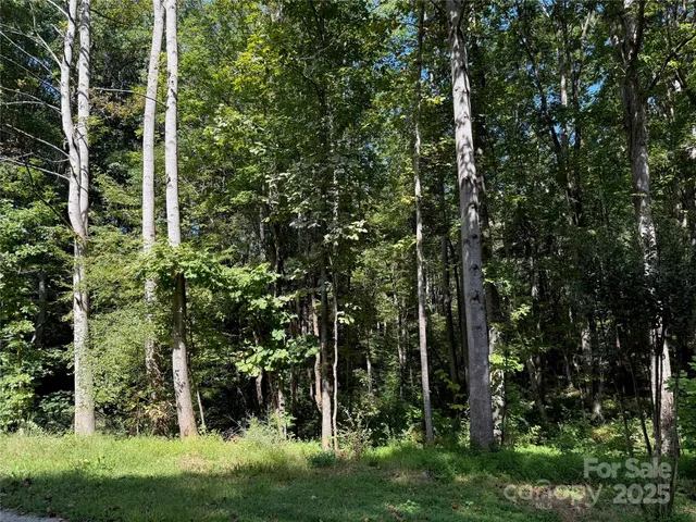 a view of outdoor space and garden