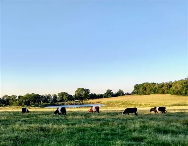 $300,000 | Lot 2 Northwest Plotsky Avenue, Plattsburg, MO 64477