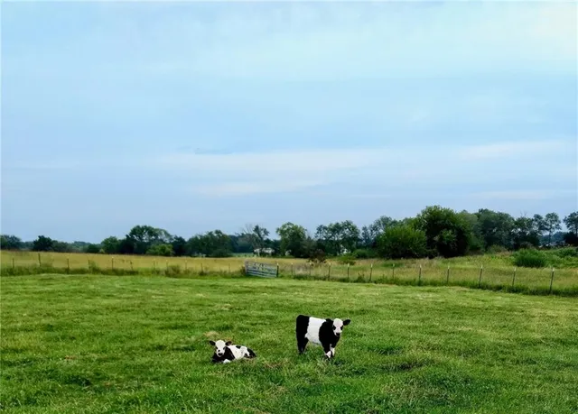 $300,000 | Lot 2 Northwest Plotsky Avenue, Plattsburg, MO 64477