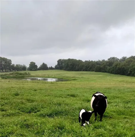 $300,000 | Lot 2 Northwest Plotsky Avenue, Plattsburg, MO 64477