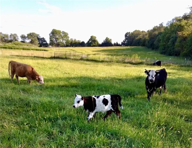 $300,000 | Lot 2 Northwest Plotsky Avenue, Plattsburg, MO 64477